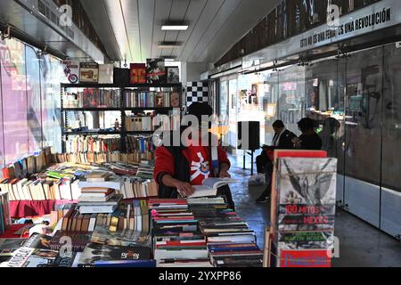 Tijuana, bassa California, Messico. 16 dicembre 2024. David Lopez, 35 anni, dall'Honduras, sfoglia le selezioni di libri di lingua della fiera "Antiguo" usata occasionalmente in una stazione degli autobus di Revolution Avenue del Tijuana Comprehensive Transportation System (STT) a Tijuana, Messico lunedì 16 dicembre 2024. René Castillo di The Graphographer: Books & coffee shop e organizzatore della fiera del libro ha sottolineato che la fiera stava prendendo e intervenendo in spazi pubblici come la stazione degli autobus non così utilizzata, per avvicinare i libri alle persone e fermentare una cultura di lettura e apprensione del libro Foto Stock