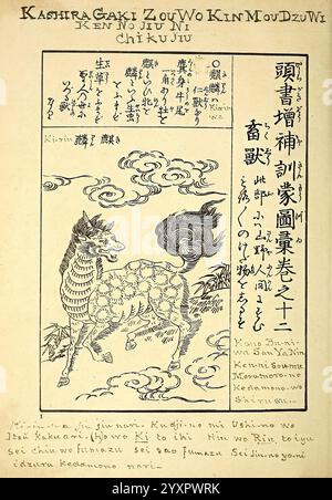 Encyclopédie Japonaise Leyde Netherlands Brill 1875 Japan Mammals Kirin, la scena presenta un'intricata illustrazione di una creatura mitica simile a un drago stilizzato, caratterizzata da un corpo allungato, una criniera fluente e una feroce espressione facciale. Intorno alla creatura sono presenti nuvole vorticose ed elementi ornamentali che ne esaltano la dinamicità. Il testo prominente in uno stile ornato accompagna l'illustrazione, inclusi titoli e descrizioni che suggeriscono un collegamento con la cultura e il folklore tradizionali. La composizione complessiva trasmette un senso di movimento ed energia, sottolineando il crea Foto Stock