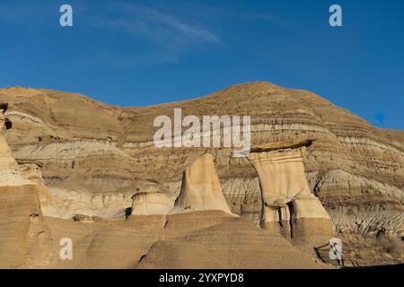 Willow Creek Hoodoos vicino a Drumheller, Alberta, Canada Foto Stock