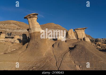 Willow Creek Hoodoos vicino a Drumheller, Alberta, Canada Foto Stock