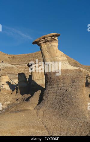 Willow Creek Hoodoos vicino a Drumheller, Alberta, Canada Foto Stock