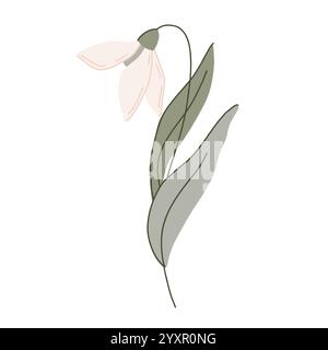Elegante illustrazione botanica piatta disegnata a mano con delicati fiori vettoriali di gocce di neve con morbide foglie verdi. Lo stile minimalista ha forme organiche e. Illustrazione Vettoriale
