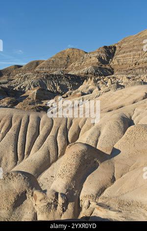 Willow Creek Hoodoos vicino a Drumheller, Alberta, Canada Foto Stock