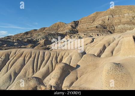 Willow Creek Hoodoos vicino a Drumheller, Alberta, Canada Foto Stock