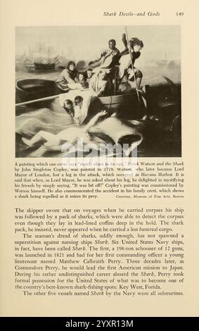 Shadows in the Sea, Philadelphia, Chilton Books [1963], Shark, Woods Hole, Chondrichthyes, squalo setoso, Carcharhinus falciformis, la scena ritrae una rappresentazione dei viaggi significativi del capitano Matthew Perry, mostrando un incontro leggendario con uno squalo formidabile. Il capitano, descritto come una figura audace, è circondato da membri dell'equipaggio che sembrano stupiti ma spaventati dalla creatura. I dettagli evidenziano le caratteristiche feroci dello squalo, sottolineando il suo ruolo di predatore naturale e simbolo dei pericoli affrontati durante le spedizioni marittime. L'opera allude anche al più ampio contesto di na Foto Stock