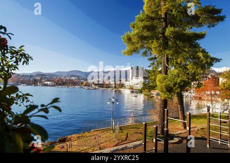 Splendida vista sull'argine della città di Lugano. Montagne innevate in lontananza. Stupore pino in primo piano. Giorni di sole presto Natale !! Foto Stock