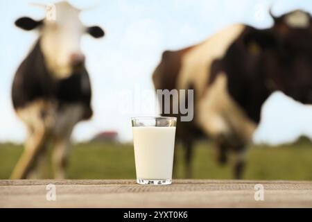 Latte fresco in vetro su tavolo in legno e mucche pascolano all'aperto, messa a fuoco selettiva Foto Stock