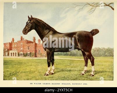 The New book of the Horse, London, Cassell and Co, 1911, Horses, equitazione, sport ippici, Un cavallo ben curato si erge maestosamente in un lussureggiante campo verde, mostrando il suo forte fisico e la sua posizione graziosa. L'animale è raffigurato in una vista laterale, evidenziando il suo rivestimento lucido e le caratteristiche ben definite. Sullo sfondo, si può vedere un elegante edificio storico, completato da prati curati e linea di alberi. Questa scena cattura l'armoniosa relazione tra il cavallo e i suoi tranquilli dintorni, evocando un senso di orgoglio e bellezza sia nell'animale che nel paesaggio. Foto Stock