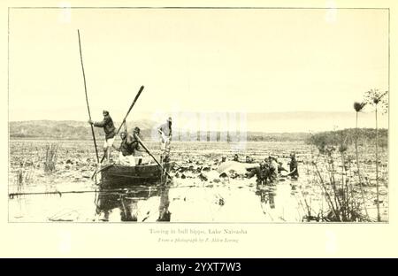 Africano, selvaggina, sentieri, Londra, John, Murray, 1910 anni, caccia, Uganda, descrizione, e, viaggi, Africa, Est, Un gruppo di individui è impegnato in un'attività di pesca su un lago tranquillo. Usano lunghi pali per navigare nelle acque, probabilmente alla ricerca di pesci o altre forme di vita acquatica. Il paesaggio è ampio, caratterizzato da dolci colline sullo sfondo e da una superficie tranquilla punteggiata di macchie di vegetazione. La scena trasmette un senso di armonia tra le persone e la natura, illustrando sia la pratica tradizionale della pesca che la tranquillità dell'ambiente naturale che li circonda. Foto Stock