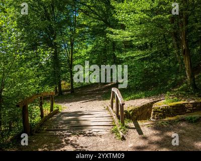 Sanok, Polonia - 4 maggio 2024. Ponte in legno nel Museo di architettura Folcloristica di Sanok. Foto Stock