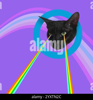 Riprese Cat con laser arcobaleno dagli occhi su sfondo colorato e collage creativo. Poster elegante Foto Stock