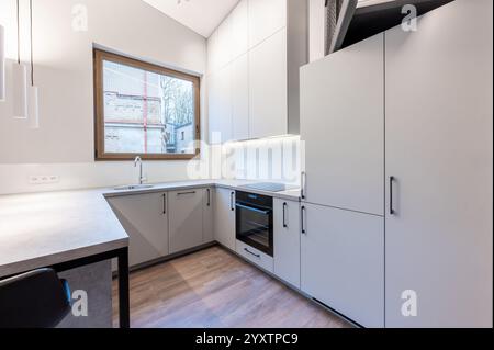 Cucina moderna, luminosa ed elegante, dallo stile minimalista, dalla disposizione funzionale e dalla luce naturale. Evidenziano un design pulito e sofisticato con Foto Stock