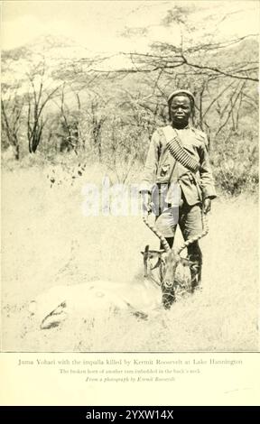 Africano, selvaggina, sentieri, Londra, John, Murray, 1910 anni, caccia, Uganda, descrizione, e, viaggio, Africa, Oriente, Un cacciatore locale si trova orgogliosamente accanto a un impala che ha appena ucciso, mostrando le sue abilità e la sua connessione con la terra. È vestito con un abbigliamento tradizionale, completo di bandoliere sul petto, che indica il suo ruolo e la sua esperienza nella caccia. Lo sfondo presenta un paesaggio sparso, tipico della zona vicino al lago Huntington, con vegetazione sparsa e colline lontane. Questa scena riflette le pratiche culturali e il significato della caccia nella comunità, sottolineando la relazione Foto Stock