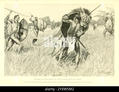 Africano, selvaggina, sentieri, Londra, John, Murray, 1910 anni, caccia, Uganda, descrizione, e, viaggiando, Africa, Oriente, in una scena vivida ambientata in una savana, un feroce leone rappresenta la figura centrale, pronta e pronta a difendersi da un gruppo di cacciatori determinati. Il corpo muscolare del leone è raffigurato con intensità, mostrando la sua potente presenza. Intorno al leone ci sono diversi guerrieri, armati di lance e scudi, che dimostrano una miscela di concentrazione strategica e prontezza per l'imminente scontro. Il paesaggio è pieno di alte erbe, mettendo in risalto l'habitat naturale, mentre l'espr Foto Stock