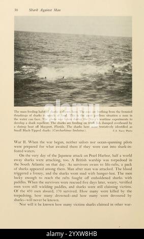 Shadows in the Sea, Philadelphia, Chilton Books [1963], shark, Woods Hole, Chondrichthyes, blacktip shark, Carcharhinus limbatus, The scene depicts a detailed account of an incident involving sharks and sailors during World War II. It highlights the tension and danger faced by naval personnel as they encountered aggressive sharks while retrieving survivors or searching for wreckage in the ocean. The accompanying text discusses the circumstances surrounding the Japanese attack on Pearl Harbor, noting the subsequent exploitation of vulnerable sailors and the harrowing fate that befell many in th Stock Photo