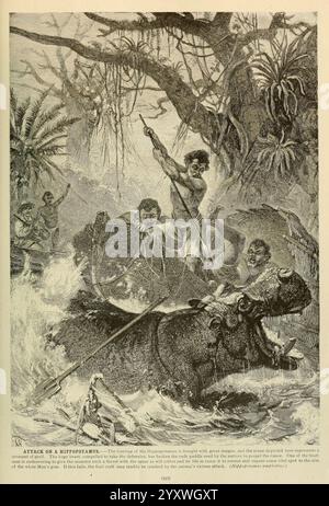 Brehm's Life of Animals, volume 1, Mammalia, Chicago, Marchese, 1895, ippopotamo, ippopotamo, mammiferi, ippopotamo anfibio comportamentale animale, la scena raffigura un confronto drammatico in un ambiente denso e nella giungla. Un gruppo di individui è impegnato in una feroce lotta contro una grande creatura, probabilmente un ippopotamo, parzialmente sommerso in acque turbolente. Una figura, posizionata in prima linea, brandisce una lancia, pronta all'attacco, mentre le espressioni dei partecipanti trasmettono un mix di determinazione e urgenza. Sullo sfondo, si possono vedere figure aggiuntive che navigano nella scena caotica, Foto Stock