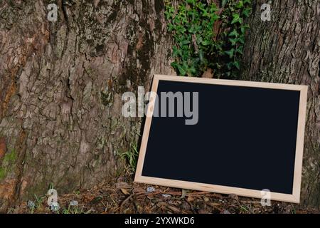 Lavagna vuota con struttura in legno contro tronco di alberi e foglie di edera Foto Stock