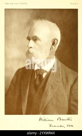 The Auk Washington, D.C. American Ornithologists' Union ecc. 1884 - periodici ritratti ornitologia William Brewster ornitologo, il ritratto presenta un uomo anziano distinto con una prominente barba bianca e baffi, vestito con un abito formale composto da un vestito, un giubbotto e una cravatta. Il suo sguardo è rivolto leggermente di lato, trasmettendo un senso di contemplazione e saggezza. Sotto l'immagine, il nome ''William Brewster'' è elegantemente inciso, insieme alla data ''dicembre, 1916.jpg,' che suggerisce il significato di questo momento nel tempo. La composizione complessiva trasuda un senso di rispetto e di rispetto Foto Stock