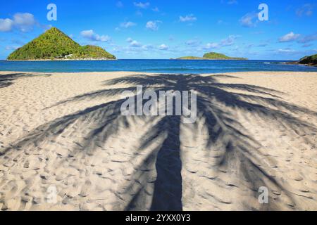 Spiaggia di Levera sull'isola di Grenada con vista sull'isola del Pan di zucchero, Grenada. Foto Stock