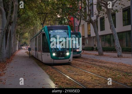 Barcellona, Catalogna, Spagna - 08 04 2023: Tram verde Alstom Citadis del sistema di metropolitana leggera Trambaix sotto la tettoia di platani alberi fogliame su Carrer Foto Stock