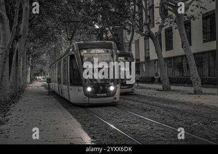 Barcellona, Catalogna, Spagna - 08 04 2023: Tram verde Alstom Citadis del sistema di metropolitana leggera Trambaix sotto la tettoia di platani alberi fogliame su Carrer Foto Stock