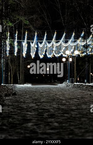 La magica scena natalizia invernale si snoda lungo un sentiero innevato illuminato da calde luci festose tra gli alberi Foto Stock