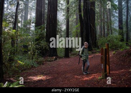 Un cartello con la scritta per escursionisti lungo un percorso escursionistico attraverso l'Humboldt Redwoods State Park, California settentrionale, Stati Uniti. Foto Stock