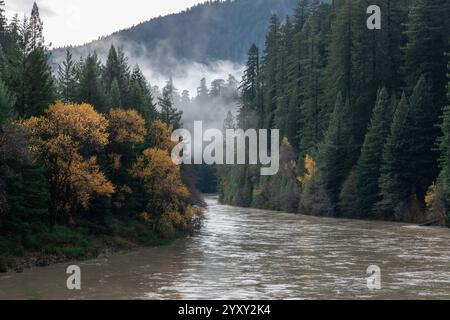 La foresta autunnale e le sequoie ai margini del fiume Eel nel parco statale delle sequoie di Humboldt nella California settentrionale. Foto Stock