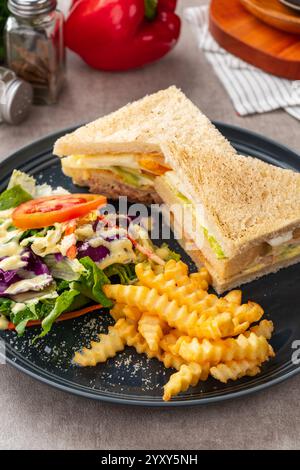 Sandwich di tonno con patatine fritte e insalata. Foto Stock