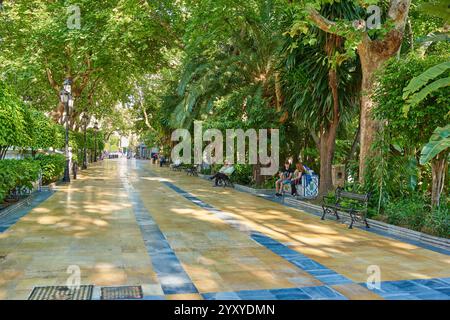 Park, viaggia e passeggia con i turisti al Parque de la Alameda di Marbella, Spagna. Natura, alberi e sorgente con strada in mattoni all'aperto Foto Stock