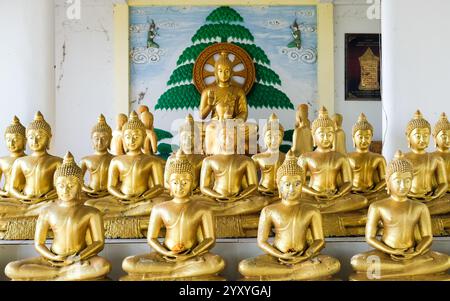 Un tranquillo tempio in Thailandia presenta file di statue dorate di Buddha, che irradiano pace e bellezza spirituale. Foto Stock