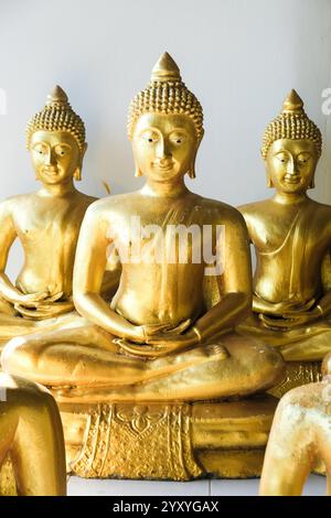 Un tranquillo tempio in Thailandia presenta file di statue dorate di Buddha, che irradiano pace e bellezza spirituale. Foto Stock