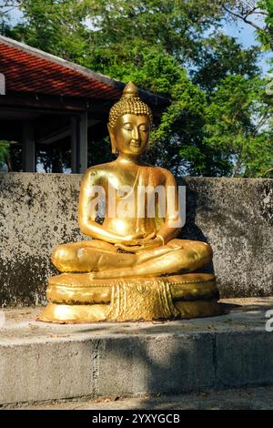 Un tranquillo tempio in Thailandia presenta file di statue dorate di Buddha, che irradiano pace e bellezza spirituale. Foto Stock