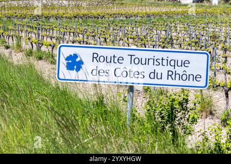 Tipico vigneto con strada del vino (Route Touristique des Cotes du Rhone) vicino a Faucon, Cotes du Rhone, Francia Foto Stock