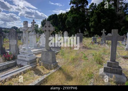 Dublino, Irlanda - 16 giugno 2024: Veduta del cimitero di Deans' Grange con lapidi, iscrizioni, fiori, erba e alberi sullo sfondo Foto Stock