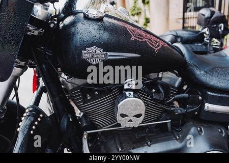 Durham Regno Unito: 19 ottobre 2024: Vista ravvicinata di una motocicletta Harley Davidson con un design del cranio sul coperchio del motore Foto Stock