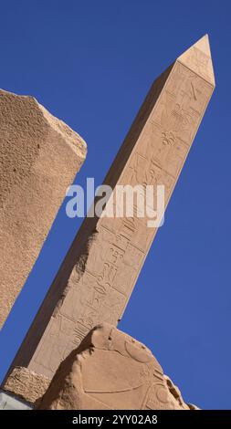 Obelisco della regina Hatshepsut nel tempio di Karnak a Luxor, Egitto Foto Stock