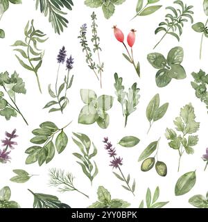 erbe e spezie acquerelli senza cuciture, menta, aneto, origano, rucola, basilico, chervil, rosemaryne, alloro, saggio di ripetizione Foto Stock