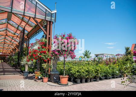 Molte diverse bellissime piante in fiore nel centro del giardino. Foto Stock