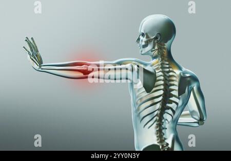 Scheletro umano. Radiografia dell'anatomia scheletrica umana. rendering 3d. Foto Stock