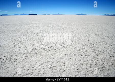 Vasta distesa piatta del Salar de Uyuni, la più grande distesa di sale del mondo, situata in Bolivia. La superficie salina bianca e incrinata si estende fino all'orizzonte. Foto Stock