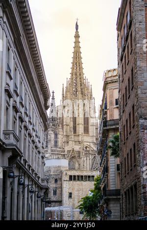 Splendida vista della cattedrale di Barcellona con paesaggio urbano e cielo, splendida architettura, iconico paesaggio panoramico Foto Stock