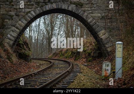 Vecchio ponte stradale in pietra sulla ferrovia in autunno vicino alla fermata di Malenice CZ 12 12 2024 Foto Stock