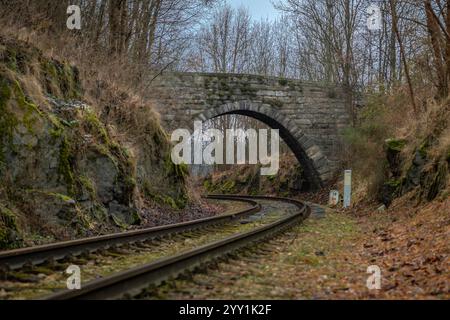 Vecchio ponte stradale in pietra sulla ferrovia in autunno vicino alla fermata di Malenice CZ 12 12 2024 Foto Stock