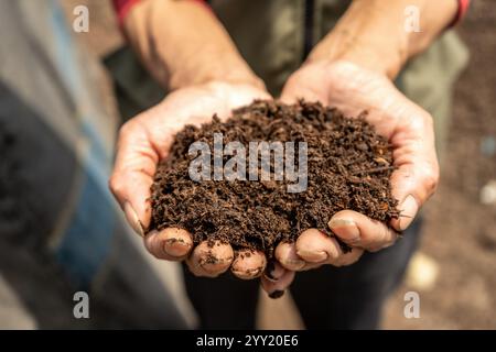 Donna mani tenere fresco terreno organico a San Juan de Lurigancho, Perù Foto Stock