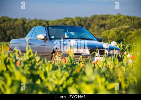 Praga, repubblica Ceca - 10 giugno 2024. BMW E36 grigia convertibile parcheggiata su strada da un campo di papavero Foto Stock