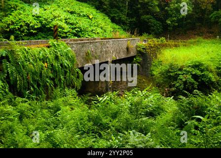 Ponte di pietra sulla strada per Hana, Maui, Hawaii Foto Stock