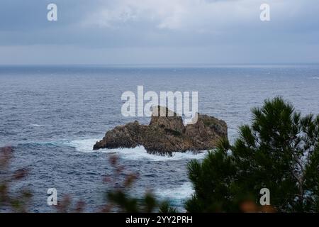 Una piccola isola rocciosa solitaria in mare aperto. Tempesta in mare, onde infurianti che si infrangono contro la piccola isola ed esplodono con spruzzi bianchi. Rock in A. Foto Stock