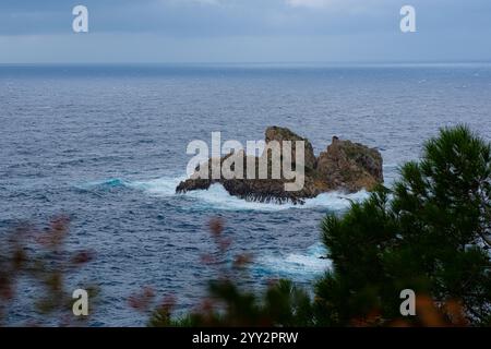 Una piccola isola rocciosa solitaria in mare aperto. Tempesta in mare, onde infurianti che si infrangono contro la piccola isola ed esplodono con spruzzi bianchi. Rock in A. Foto Stock