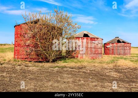 Un fienile rosso con tre piccoli edifici rossi sullo sfondo. Il fienile è vuoto e gli edifici sono vecchi Foto Stock